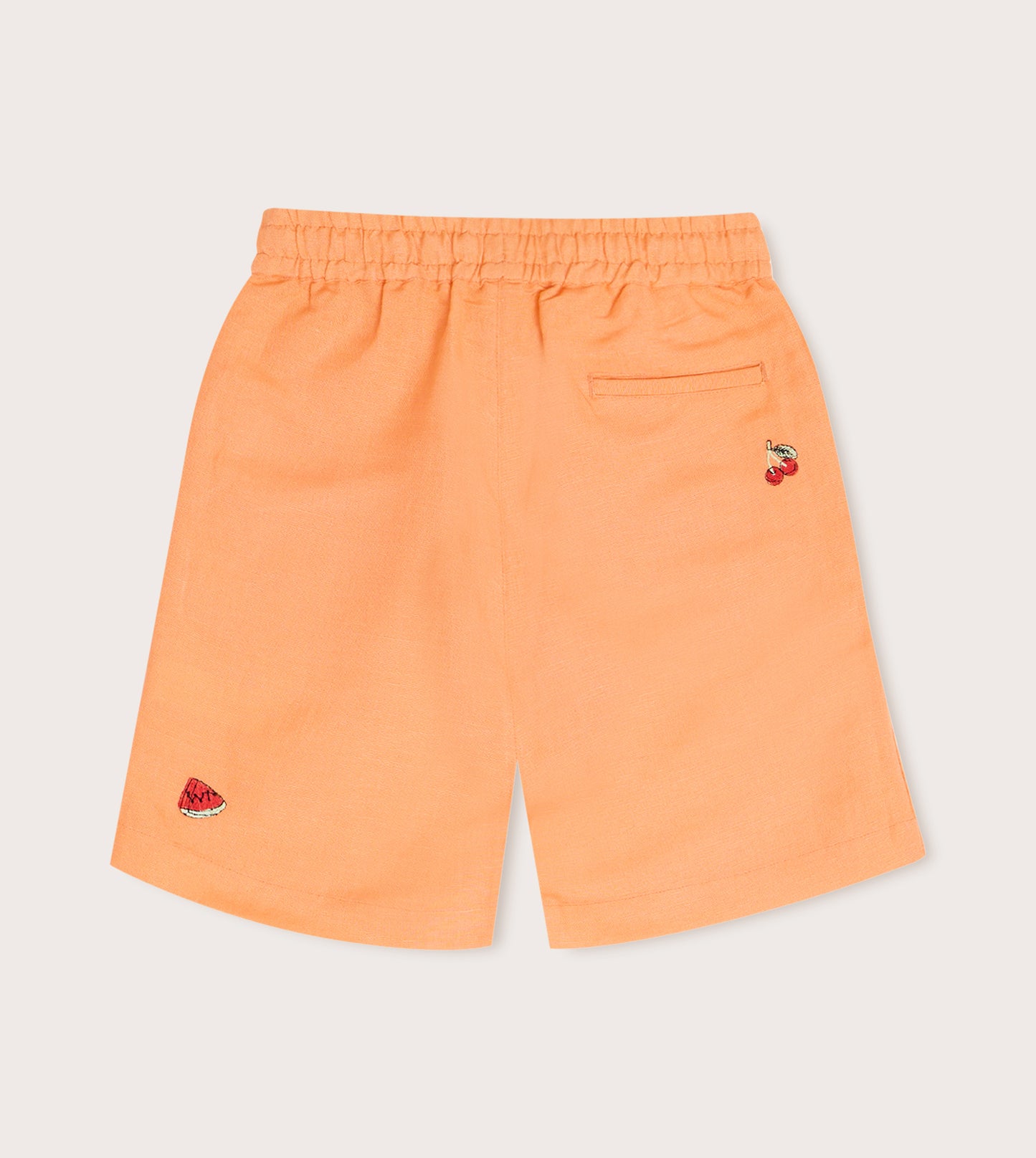 Boy's Linen Embroidered Shorts